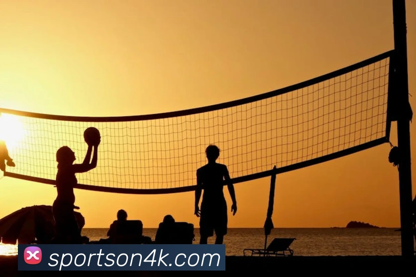 App Interface Preview